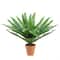 18.5" Potted Artificial Green Boston Fern Plant